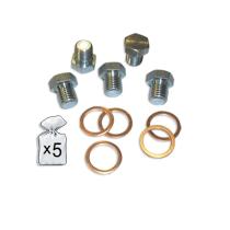 Jbm 51403 - SET REPUESTOS REPARACION CARTER M13